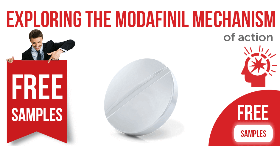 Exploring the Modafinil mechanism of action