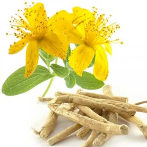 Ashwagandha and St. John's wort
