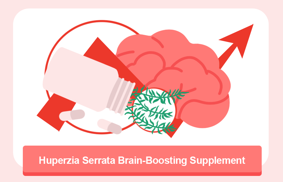 Huperzia Serrata Brain-Boosting Supplement