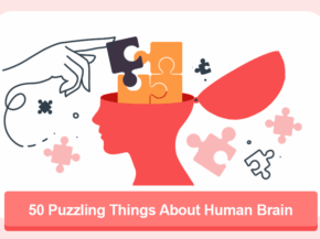 50 Puzzling Things About Human Brain