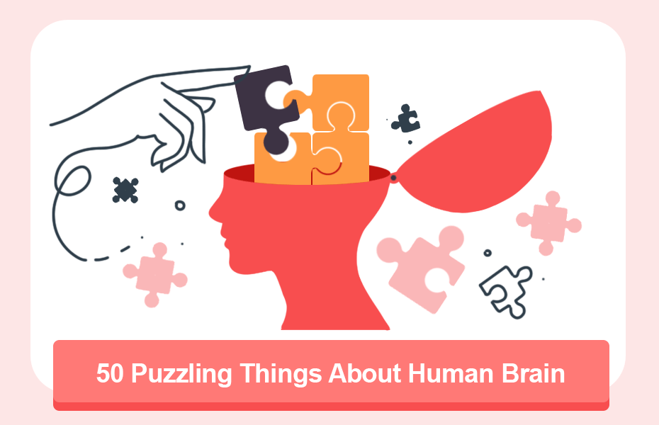 50 Puzzling Things About Human Brain