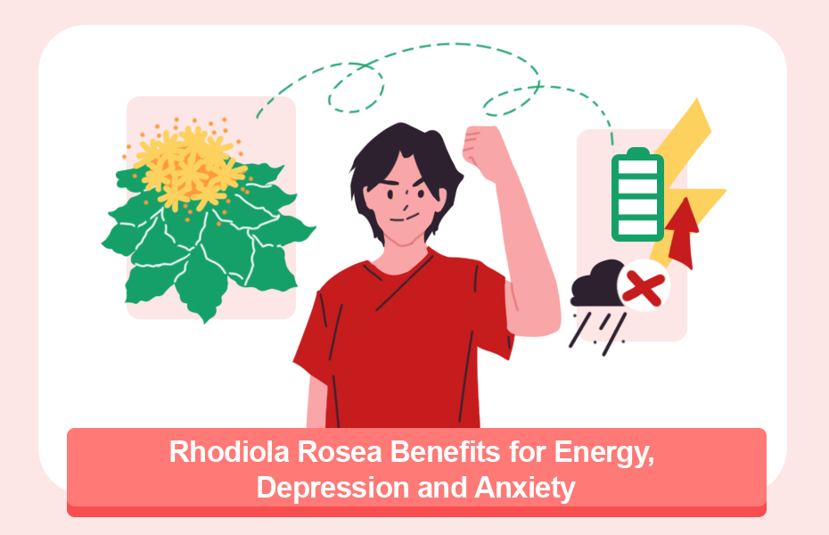 Rhodiola Rosea Benefits for Energy, Depression and Anxiety