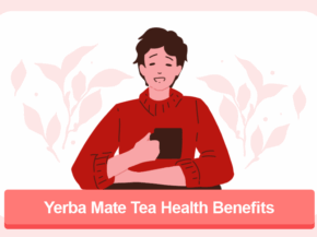 Yerba Mate Tea Health Benefits